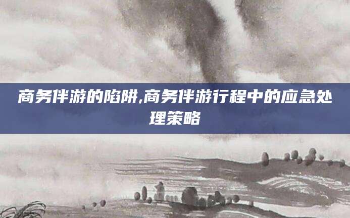 铁岭商务伴游的陷阱,商务伴游行程中的应急处理策略